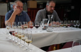 Litoměřický hrozen 2025 zná vítěze