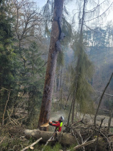 Kliknutím zvětšíte obrázek
