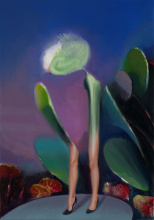 Kliknutím zvětšíte obrázek