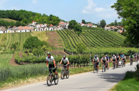 Cyklostezka Greenway Jizera propojí Bakov nad Jizerou a Kosmonosy