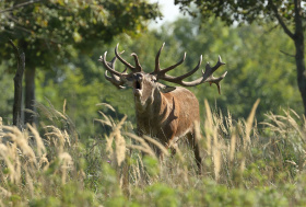 Obory jsou zase otevřené Kliknutím zvětšíte obrázek