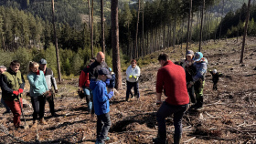 Projekt Sázíme Česko pomáhá Lokti vracet lesy do života Projekt Sázíme Česko pomáhá Lokti vracet lesy do života