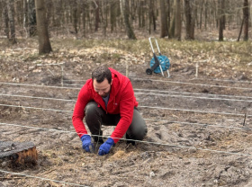 Projekt Sázíme Česko vysadil v Benátkách nad Jizerou již 24 tisíc stromů