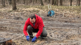 Projekt Sázíme Česko vysadil v Benátkách nad Jizerou již 24 tisíc stromů Projekt Sázíme Česko vysadil v Benátkách nad Jizerou již 24 tisíc stromů