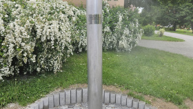 Rodina pítek a mlhopítek se rozrůstá