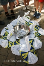 Kliknutím zvětšíte obrázek