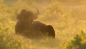Milovická rezervace hostí třídenní setkání odborníků ze Zoo