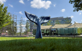 Kudy vede linka 11. ročníku sochařského projektu Sculpture Line? Kudy vede linka 11. ročníku sochařského projektu Sculpture Line?