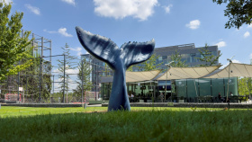 Kudy vede linka 11. ročníku sochařského projektu Sculpture Line? Kudy vede linka 11. ročníku sochařského projektu Sculpture Line?