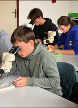 Kliknutím zvětšíte obrázek