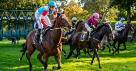 Kliknutím zvětšíte obrázek