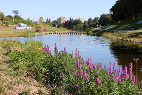 Přímo u vody další atrakce! Budějičáci se mají