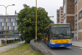 Zlínský kraj začal s likvidací invazního stromu pajasanu žláznatého Kliknutím zvětšíte obrázek