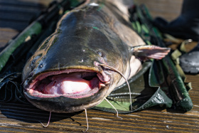 Kliknutím zvětšíte obrázek