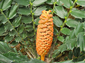 Kliknutím zvětšíte obrázek