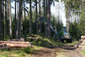 Zájemci mohou podávat nabídky v aktuálním tendru Lesů ČR