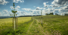 Výstava představuje příklady dobré praxe projektu Zdravá krajina