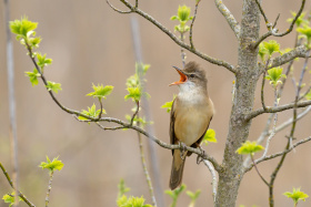 Nadace ORLEN Unipetrol podpoří rozvoj největšího ptačího parku Česku