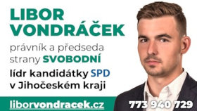 Rozsekejme ve volbách povinnou inkluzi. Ničí talenty, vyhání učitele ze školství a škodí také slabším i průměrným dětem
