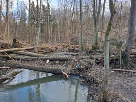 Bobří soutěska v CHKO České středohoří se od října znovu otevře veřejnosti