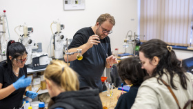 Noc vědců: Alchymistické pokusy, zlato i vesmírná naleziště diamantů