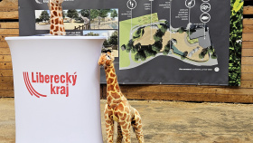 Začíná rekonstrukce pavilonu žiraf v liberecké zoo