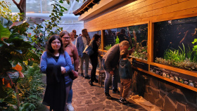Botanka v Teplicích má nová akvária tropů starého světa Kliknutím zvětšíte obrázek