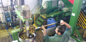 Lesnický příběh z Týniště nad Orlicí