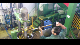 Lesnický příběh z Týniště nad Orlicí