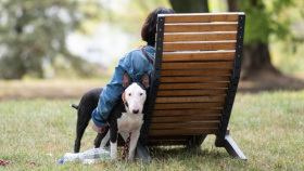 Roste zájem o pojištění domácích mazlíčků