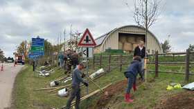 Reparát po 4 letech: V obci Čtyřkoly vysadili nové stromořadí. Přispěla Nadace ČEZ