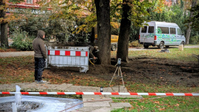 Na Sadech ozdravují stromy