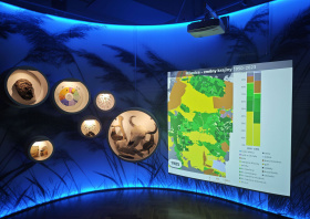 Pozvánka na výstavu: Jak zubři obnovují zničenou krajinu