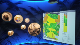 Pozvánka na výstavu: Jak zubři obnovují zničenou krajinu