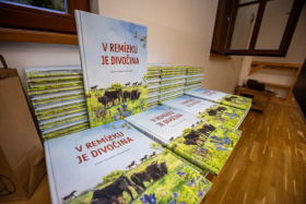 Zelené školy se blýskly zajímavými projekty