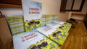 Zelené školy se blýskly zajímavými projekty