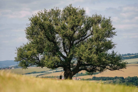 Kliknutím zvětšíte obrázek