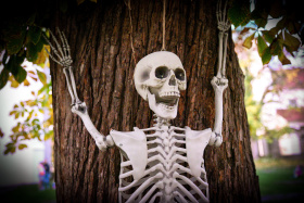 Kliknutím zvětšíte obrázek