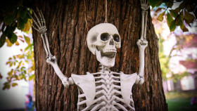 Regionální muzeum v Teplicích zve na zítřejší Halloweenské veselí