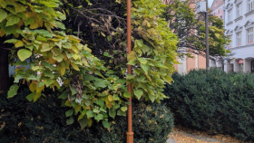 Označníky směru budou zářit novotou