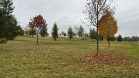 Zruč nad Sázavou chce přilákat mladé lidi