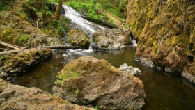 Bobří soutěska na Děčínsku je opět přístupná veřejnosti