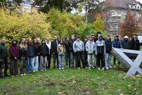 Kliknutím zvětšíte obrázek