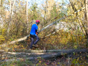Začaly přípravné práce na revitalizaci Červeňáku