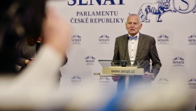 Senátní zdravotnický výbor varuje: falešné pseudoléky podle něj stojí tisíce korun a neléčí