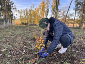 V Chlumu u Vlašimi za dva dny vysadili dobrovolníci 2 300 stromů