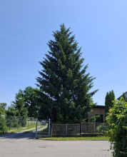 Kliknutím zvětšíte obrázek