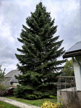 Kliknutím zvětšíte obrázek