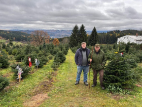 V Nahořanech rostou stromy s mašlí