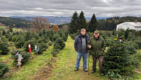 V Nahořanech rostou stromy s mašlí